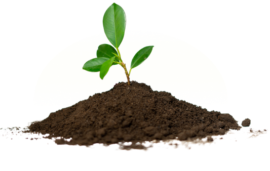 Track your plant babies here
