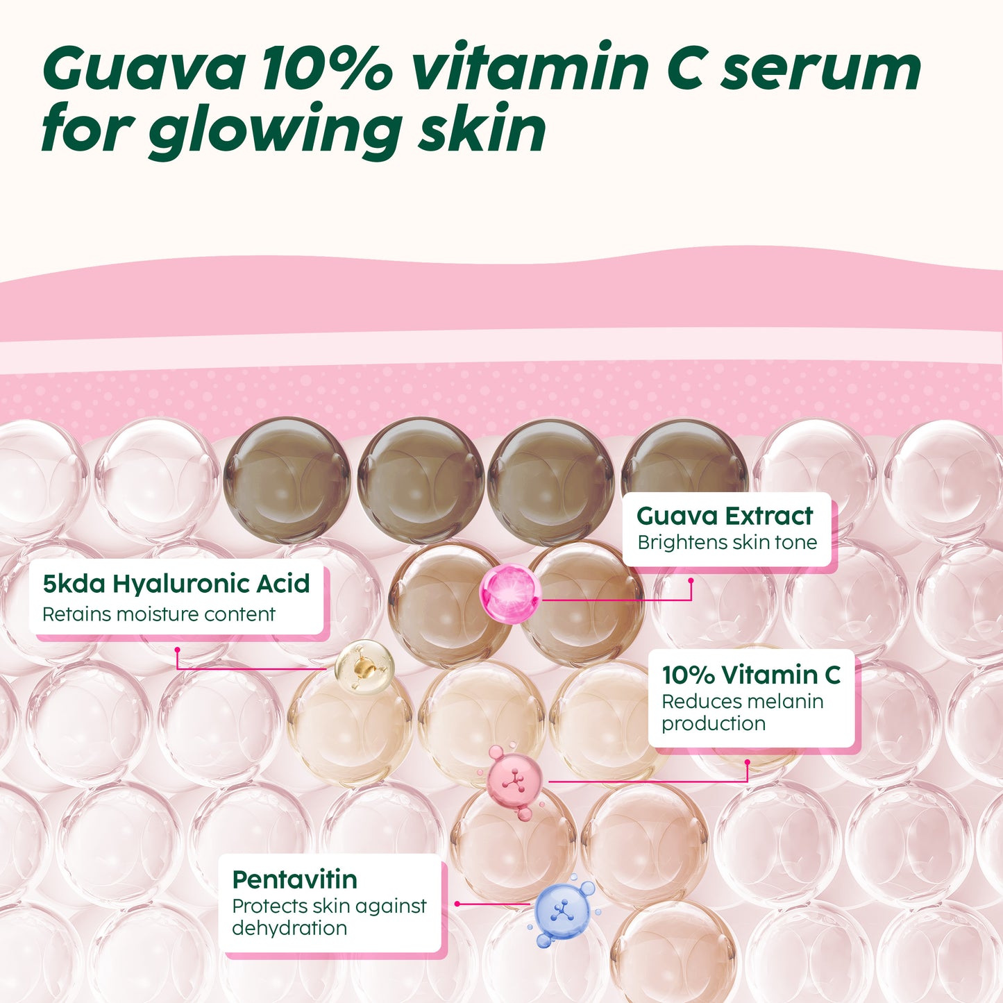 Guava 10% Vitamin C Face Serum For Brighter & Glowing Skin